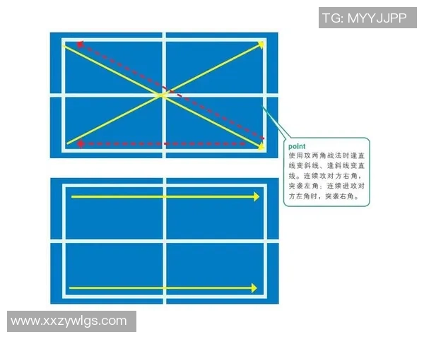 武汉乒乓球队反击战术深度分析与实战应用探讨
