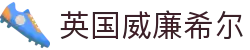 英国·威廉希尔(WilliamHill)中文官网-Official Website
